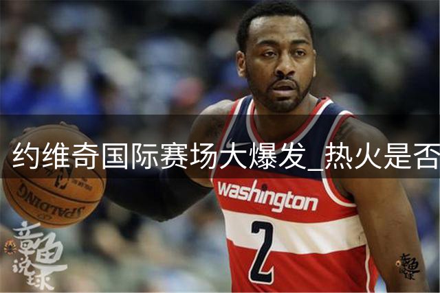 约维奇国际赛场大爆发 热火是否该重新考虑其角色定位
